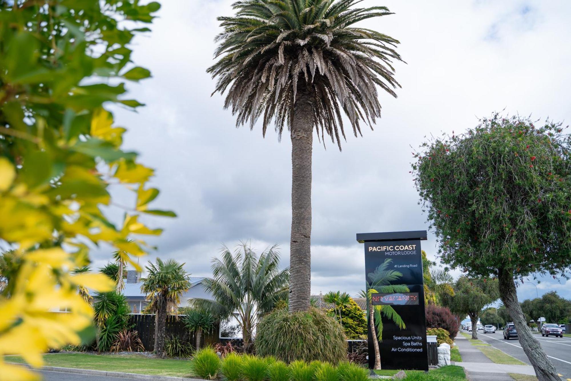Pacific Coast Motor Lodge Whakatane Esterno foto